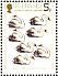 Mute Swan Cygnus olor  1984 Christmas 12v sheet