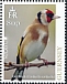 European Goldfinch Carduelis carduelis