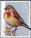 Common Linnet Linaria cannabina  2019 Birds/Europa Sheet