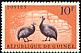 Helmeted Guineafowl Numida meleagris  1961 Helmet Guineafowl 