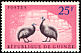 Helmeted Guineafowl Numida meleagris  1961 Helmet Guineafowl 