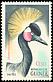 Black Crowned Crane Balearica pavonina