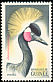 Black Crowned Crane Balearica pavonina  1962 Birds 