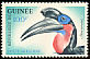 Abyssinian Ground Hornbill Bucorvus abyssinicus  1962 Birds 