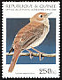 Common Nightingale Luscinia megarhynchos