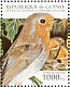 European Robin Erithacus rubecula