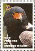 Bateleur Terathopius ecaudatus