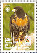 Jackal Buzzard Buteo rufofuscus  1998 Animals, World jamboree Chile 1999, Rotary, Lions Sheet