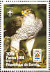 Eurasian Goshawk  Accipiter gentilis