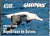 Northern Royal Albatross Diomedea sanfordi