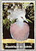 Victoria Crowned Pigeon  Goura victoria