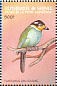 Long-tailed Broadbill Psarisomus dalhousiae