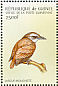 Abbott's Babbler Malacocincla abbotti  1999 Passerine birds of the world  MS