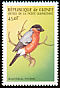 Eurasian Bullfinch Pyrrhula pyrrhula  1999 Birds of the world 