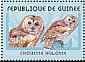 Tawny Owl Strix aluco
