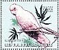 Tanimbar Corella Cacatua goffiniana  2001 Parrots Sheet