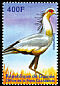 Secretarybird Sagittarius serpentarius