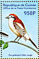 Woodchat Shrike Lanius senator  2001 Philanippon 01 Sheet