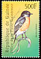 African Stonechat Saxicola torquatus  2001 Philanippon 01 