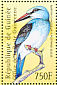 Woodland Kingfisher Halcyon senegalensis