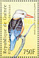 Grey-headed Kingfisher Halcyon leucocephala