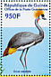 Grey Crowned Crane Balearica regulorum