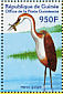 Goliath Heron Ardea goliath  2002 Philanippon 01 Sheet