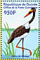 Saddle-billed Stork Ephippiorhynchus senegalensis