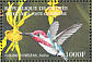 Bee Hummingbird Mellisuga helenae  2002 Caribbean Hummingbirds Sheet