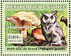 Southern White-faced Owl Ptilopsis granti