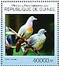 Pink-necked Green Pigeon Treron vernans