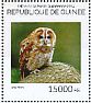 Tawny Owl Strix aluco