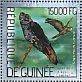 Glossy Black Cockatoo Calyptorhynchus lathami  2014 Parrots Sheet