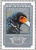 Mountain Caracara Phalcoboenus megalopterus  2014 Birds of prey Sheet