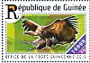 White-backed Vulture Gyps africanus  2015 Birds of prey Sheet