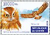 Eastern Screech Owl Megascops asio  2015 Owls Sheet