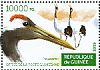 Red-crowned Crane Grus japonensis