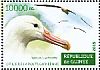 Black-browed Albatross Thalassarche melanophris  2015 Waterbirds Sheet