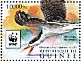 African Skimmer Rynchops flavirostris  2015 WWF Sheet