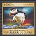 Atlantic Puffin Fratercula arctica