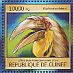 Wreathed Hornbill Rhyticeros undulatus  2016 Hornbills Sheet