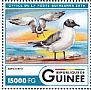 Sabine's Gull Xema sabini  2016 Water birds Sheet