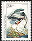 Great Blue Heron Ardea herodias  1985 Audubon 
