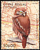 Ferruginous Pygmy Owl Glaucidium brasilianum