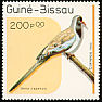 Namaqua Dove Oena capensis  1989 Birds 