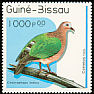 Common Emerald Dove Chalcophaps indica