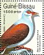 Great Cuckoo-Dove Reinwardtoena reinwardti  1989 Birds  MS