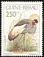 Black Crowned Crane Balearica pavonina  1991 Birds 