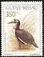 Abyssinian Ground Hornbill Bucorvus abyssinicus  1991 Birds 