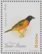 Village Weaver Ploceus cucullatus  1996 Birds  MS
